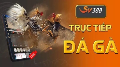 SV388 casino - Sảnh game với giao diện bắt mắt, hiện đại top đầu 2025